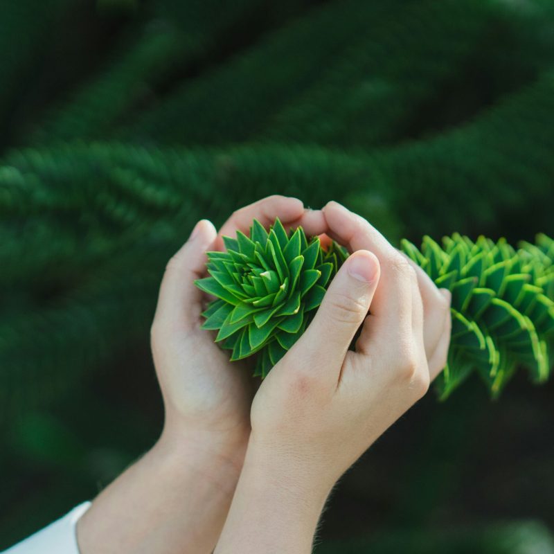yavor-punchev-iSHwa3EaMlo-unsplash